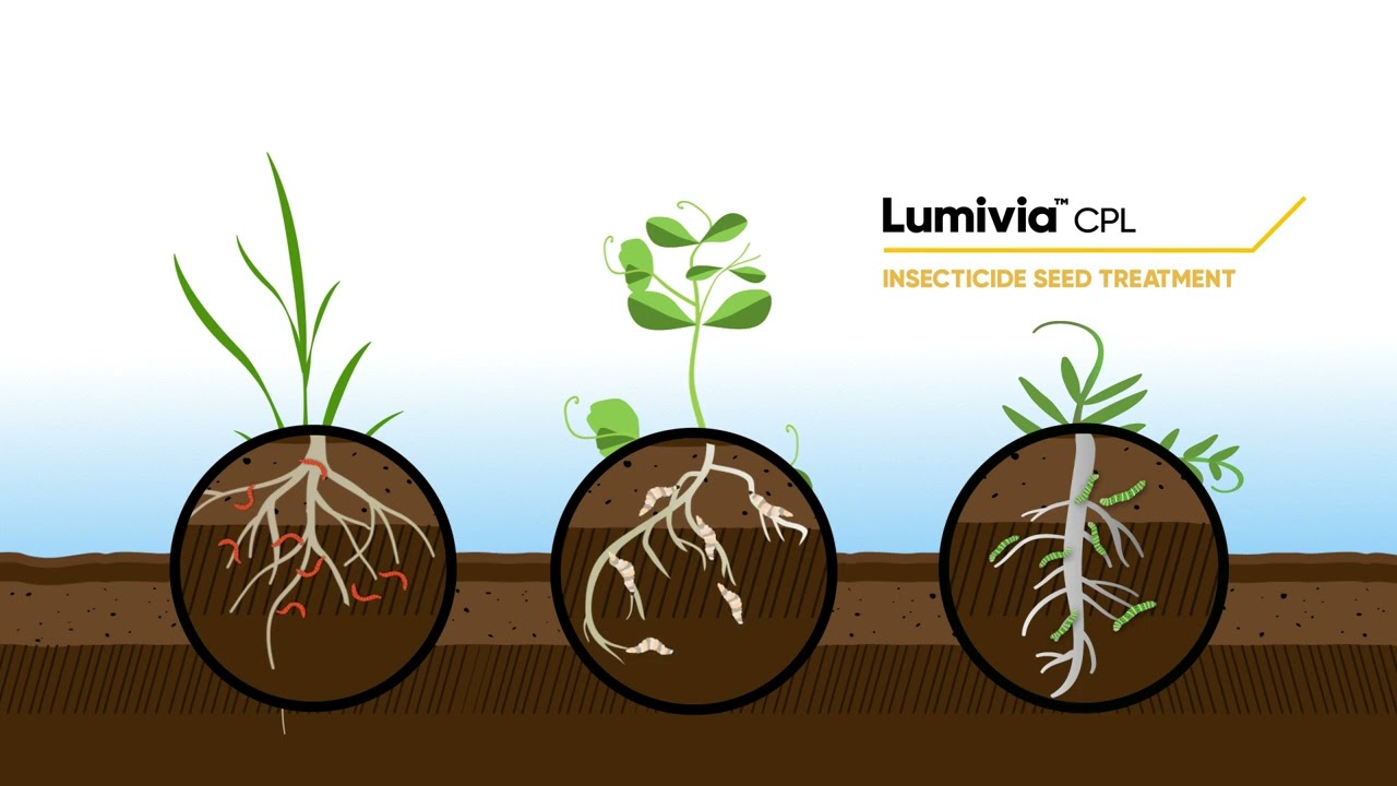 Win the Start with Corteva Seed Applied Technologies