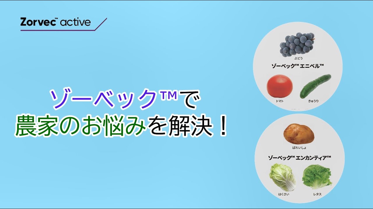 ゾーベック™有効成分の５つの特長