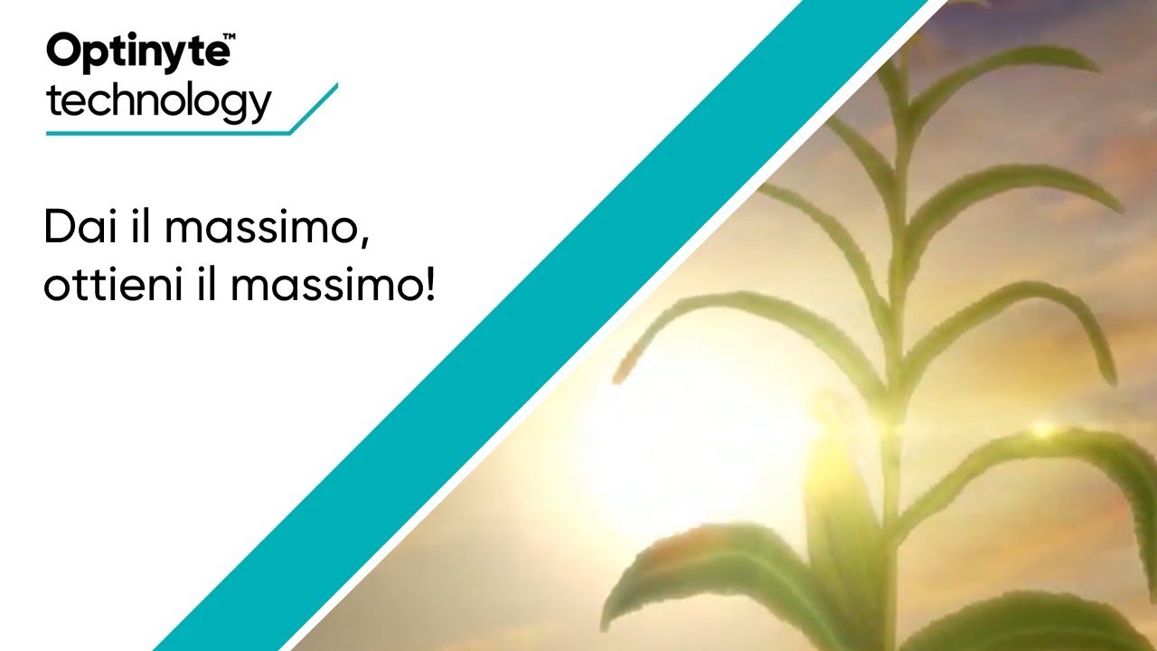 Tecnologia Optinyte: stabilizza l'azoto da fertilizzanti organici.