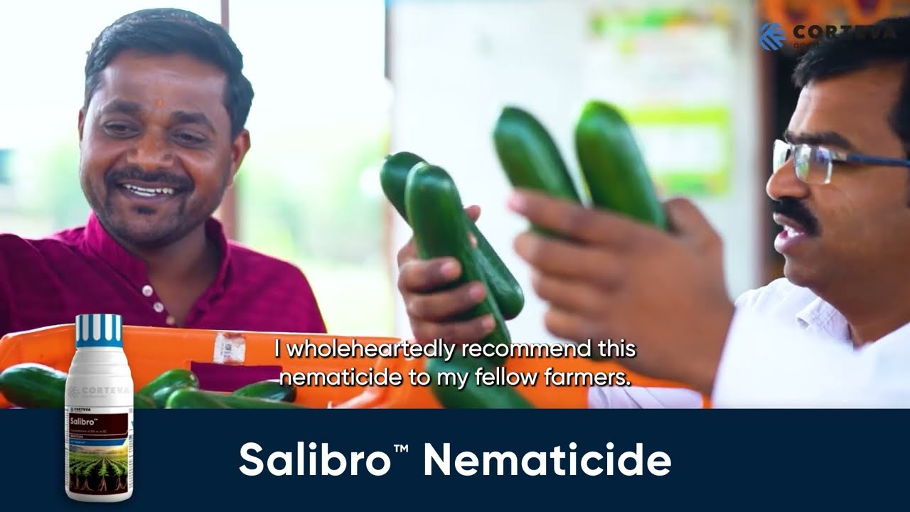 Farmer shares experience with Salibro nematicide in cucumber and pepper