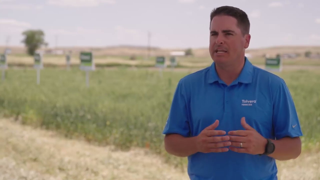 Tolvera™ herbicide delivers outstanding weed control without sacrifice