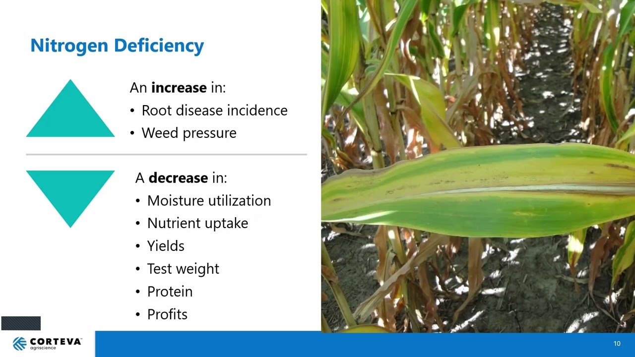 Protect nitrogen and start clean this spring | Corteva webinar