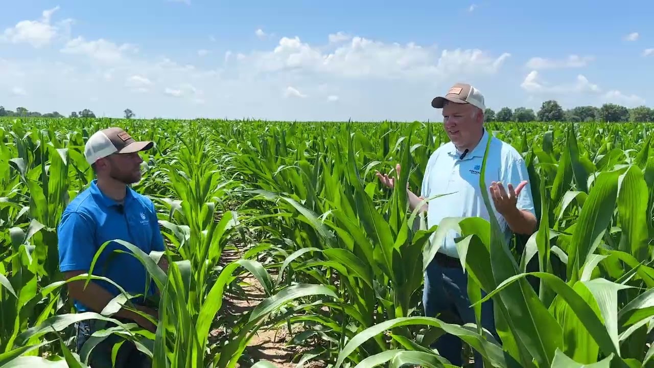Corteva Agriscience Nitrogen Stabilizer Trial Review