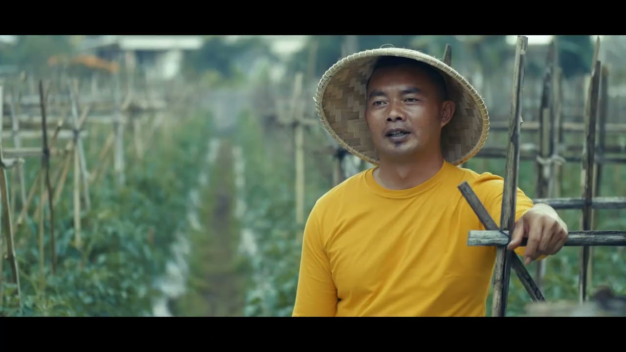 Endure 120 SC untuk melindungi tanaman tomat
