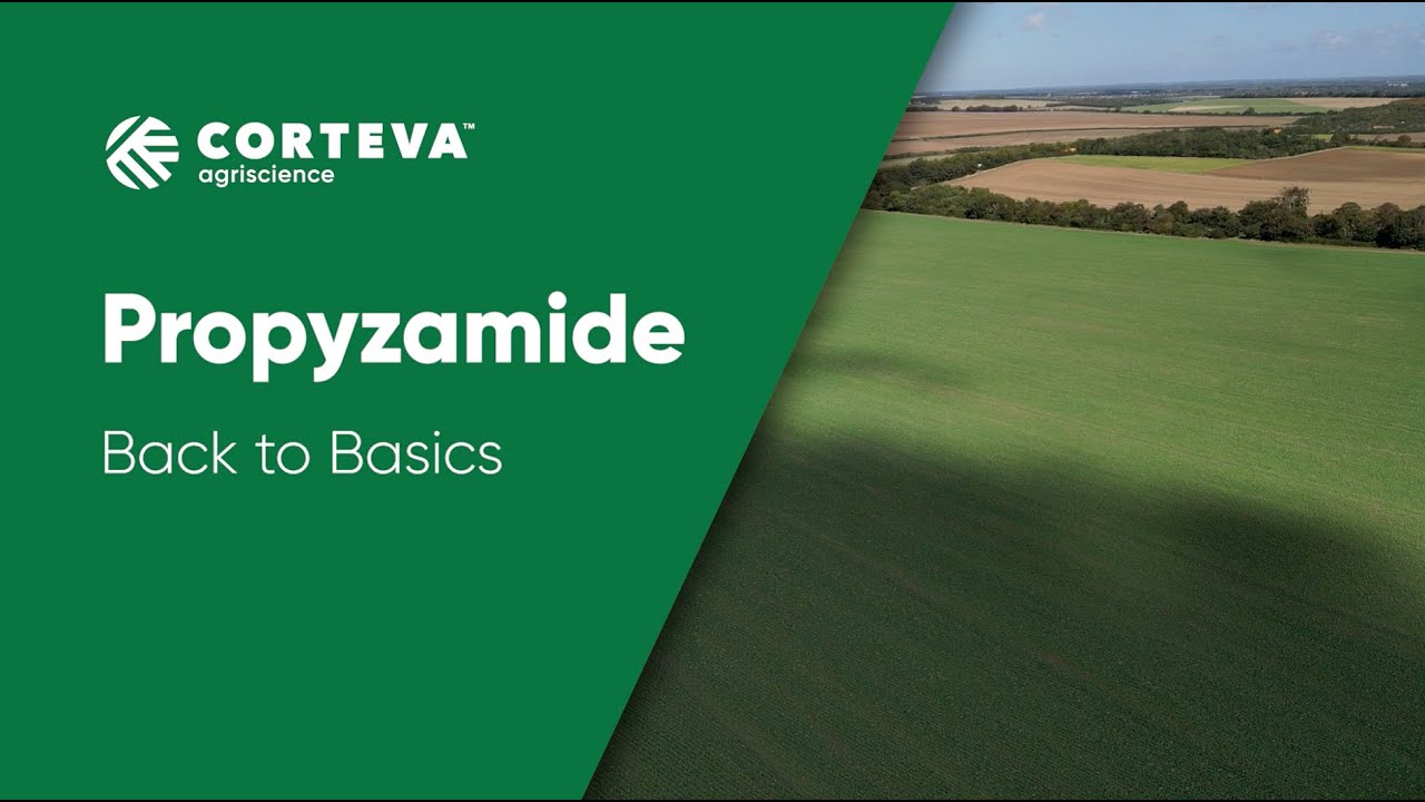 Propyzamide - Back to Basics