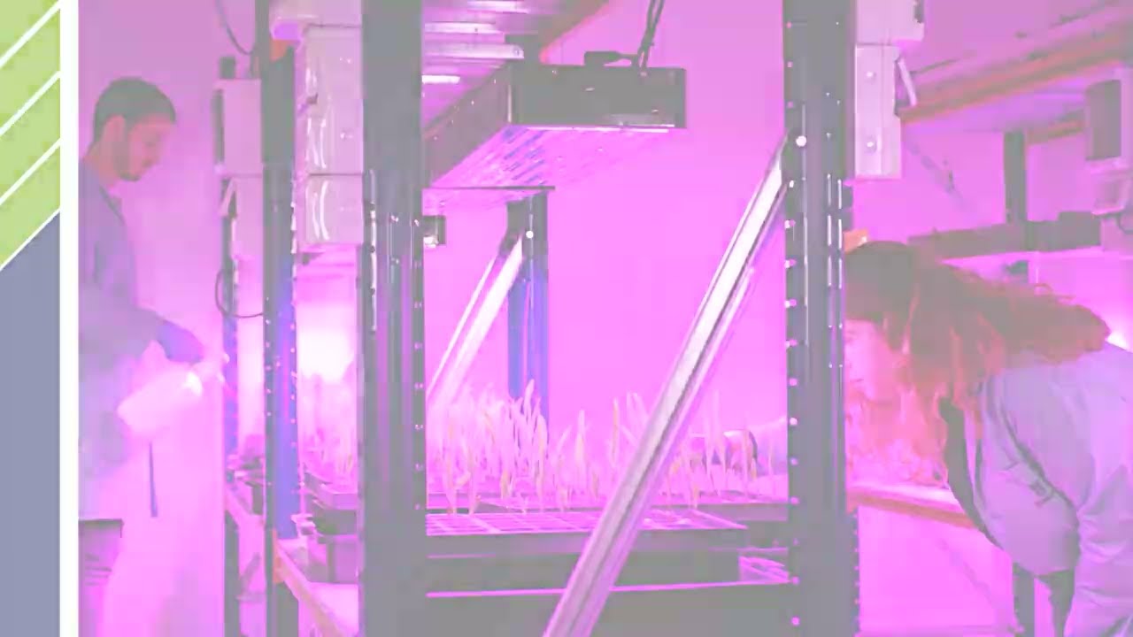 BlueN™ Application Video