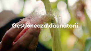 Vă prezentăm Corteva Biologicals – O Abordare Completă a Agriculturii