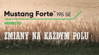 Mustang Forte 195 SE - zastosuj i obserwuj zmiany na każdym twoim polu