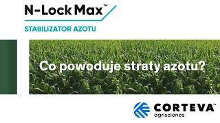 Co powoduje straty azotu w glebie?