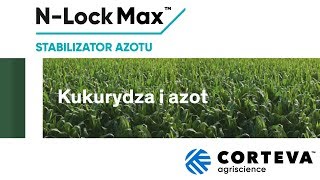 Kukurydza i azot