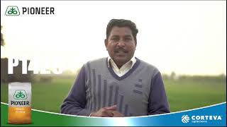 Gojra P1429