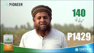 Gojra P1429 3