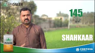 Gojra Shahkar