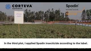 Farmer experience with Isoclast™ active