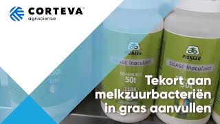 Tekort aan melkzuurbacteriën in graskuil aanvullen