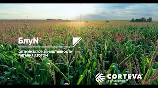 БлуN™ – технологии будущего доступны уже сегодня!