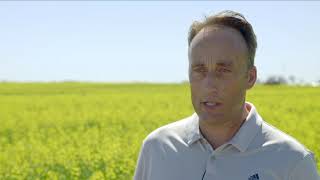 Common Questions about Nitrogen Stabilizers from Growers