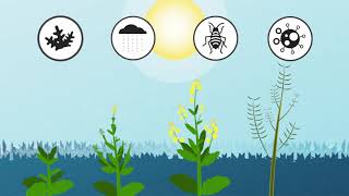 Crop Protection Portfolio | Corteva Agriscience Canada