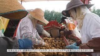 疫病のリスクから北海道のジャガイモを守る新アイテム「ゾーベック™ エンカンティア™」