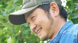 低濃度でアブラムシを即撃退︕ リンゴ⽣産量⽇本⼀の産地が採⽤する防除の切り札