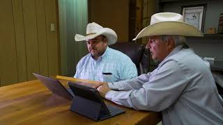 At the Callaghan Ranch, Success Against Mesquite Supports Cattle, Wildlife and the Land