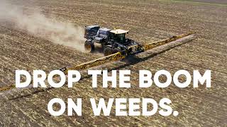Early-Season Weed Control with Sonic® Boom herbicide