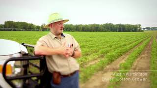 Enlist® system fits with cotton-peanut rotation