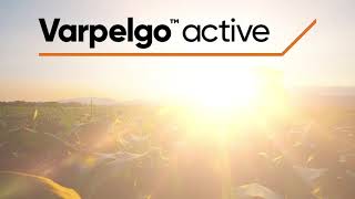 Varpelgo active - Nature-inspired insect management