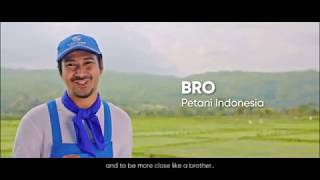 26 Tahun Ally Plus® 77 WP