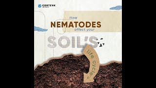 How Nematodes Affect Your Soil's Life Cycle
