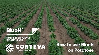 How to use Nutrient Efficiency Biostimulant BlueN™ on potatoes
