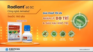 Thuốc trừ sâu Radiant 60SC chính hiệu trái cà_DIỆN MẠO MỚI