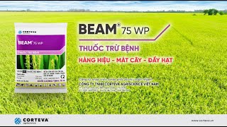 BEAM 75WP của Corteva_NHẬN DIỆN MỚI_Phim Tự giới thiệu