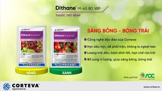 DITHANE M45 80WP - SÁNG BÔNG, BÓNG TRÁI