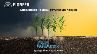 Сподівайся на дощ, готуйся до посухи з гібридами Optimum® AQUAmax®