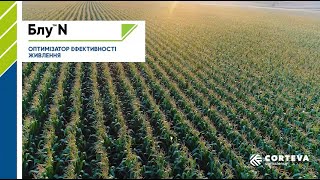 Блу™ N - технології майбутнього доступні вже сьогодні!