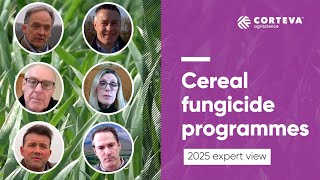 Cereal fungicide programmes - 2025 expert view
