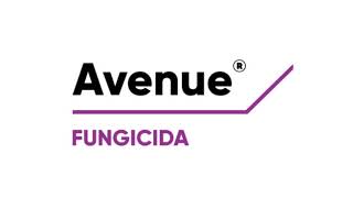 Avenue®, protector de oídio en vides en estados sensibles.