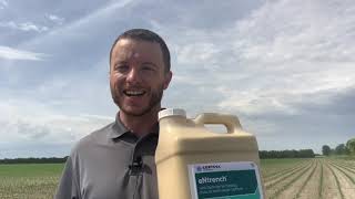 Entrench™ Nitrogen Stabilizer for 28% side dress | Corteva Agriscience Canada