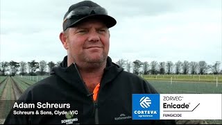 Zorvec Enicade Growing Reputations - Leafy Veg - Adam Schreurs