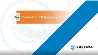 Fall Armyworm Time lapse Video Jemvelva active Solutions