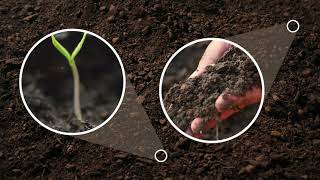 Reklemel active   Maintaining a Healthy Balance in Soil