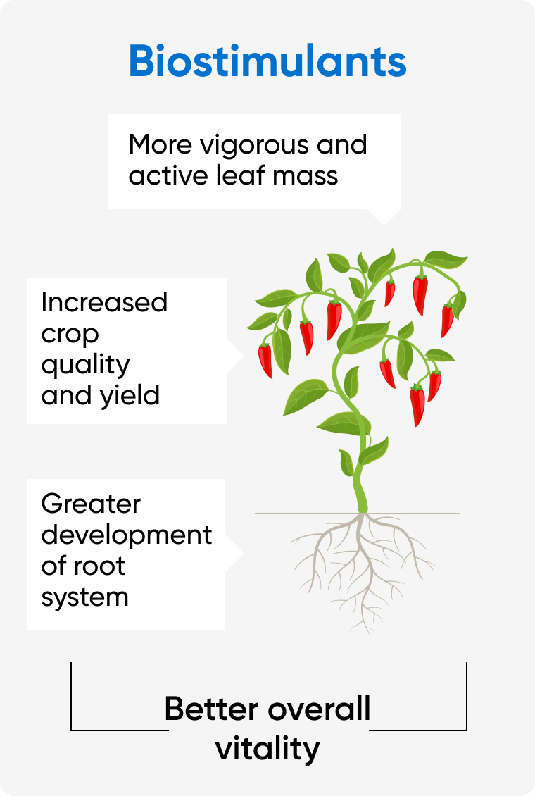 Visual to show how biostimulants work