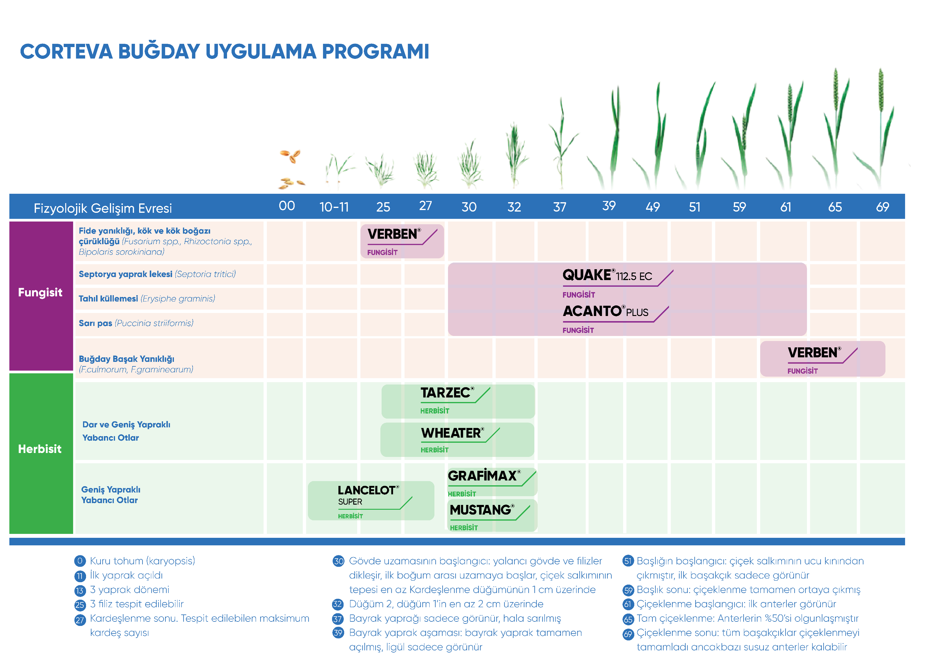 Spray Program