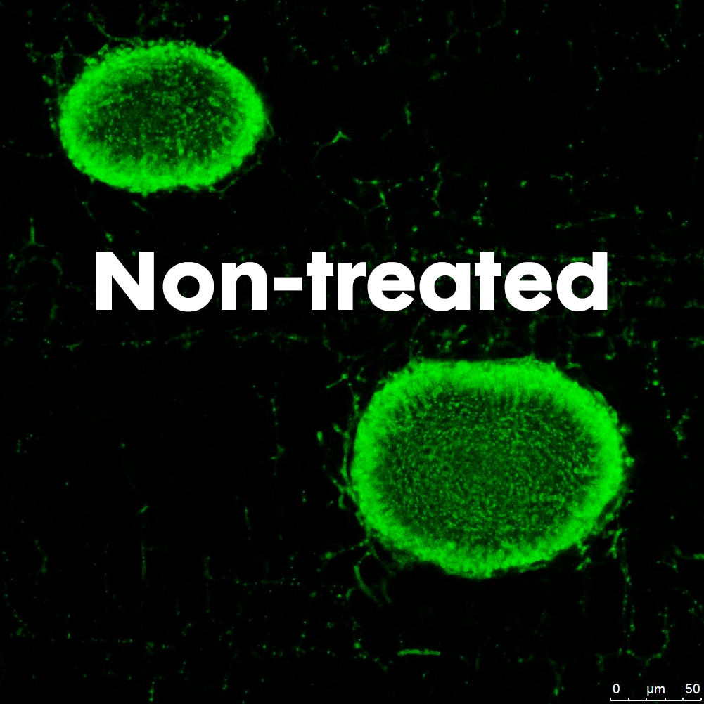side-by-side treated vs. non-treated images