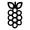 Szőlő
