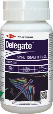 Delegate