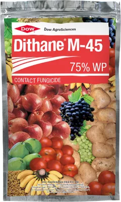 Dithane