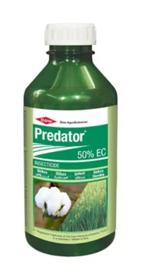 Predator