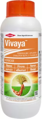 Vivaya